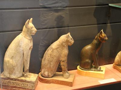 为什么古埃及人对猫如此着迷？