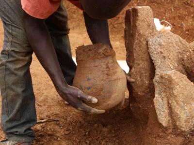 尼日利亚古代陶罐中发现非洲最古老的采集蜂蜜的直接证据