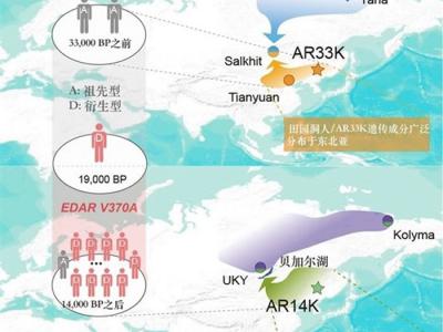 古基因组研究系统绘制出四万年来东亚北部人群的群体动态演化图谱
