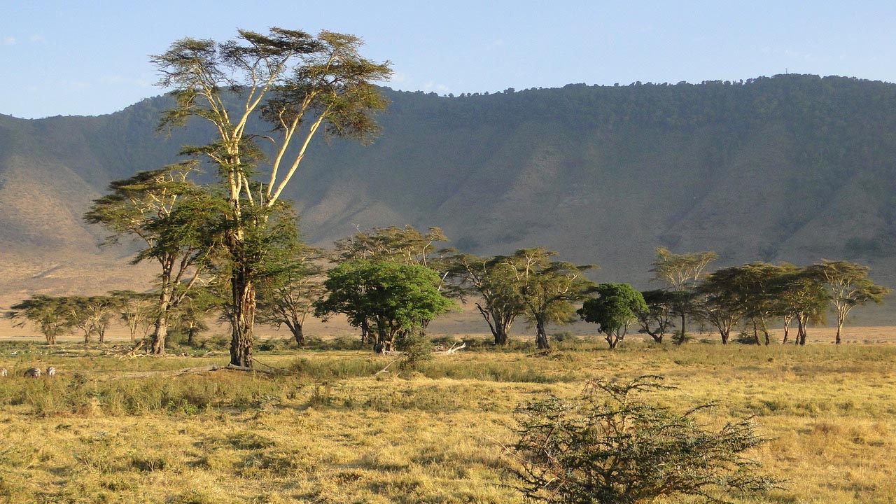 意外发现非洲“气候跷跷板” 重新评估人类进化的现有气候框架