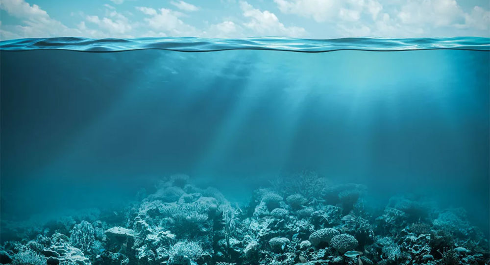 对过去120万年白令海底沉积物研究后发现“死亡区”的出现与北太平洋氧含量降低有关