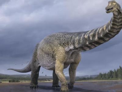 澳大利亚出现过的体型最庞大的恐龙被正式命名为“Australotitan cooperensis”