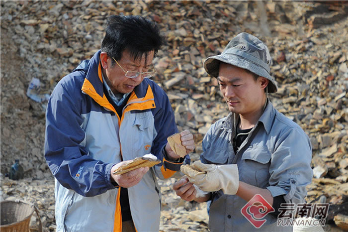 在古生物化石宝库中探寻生命演化的奥秘——云南大学古生物学学科建设结硕果