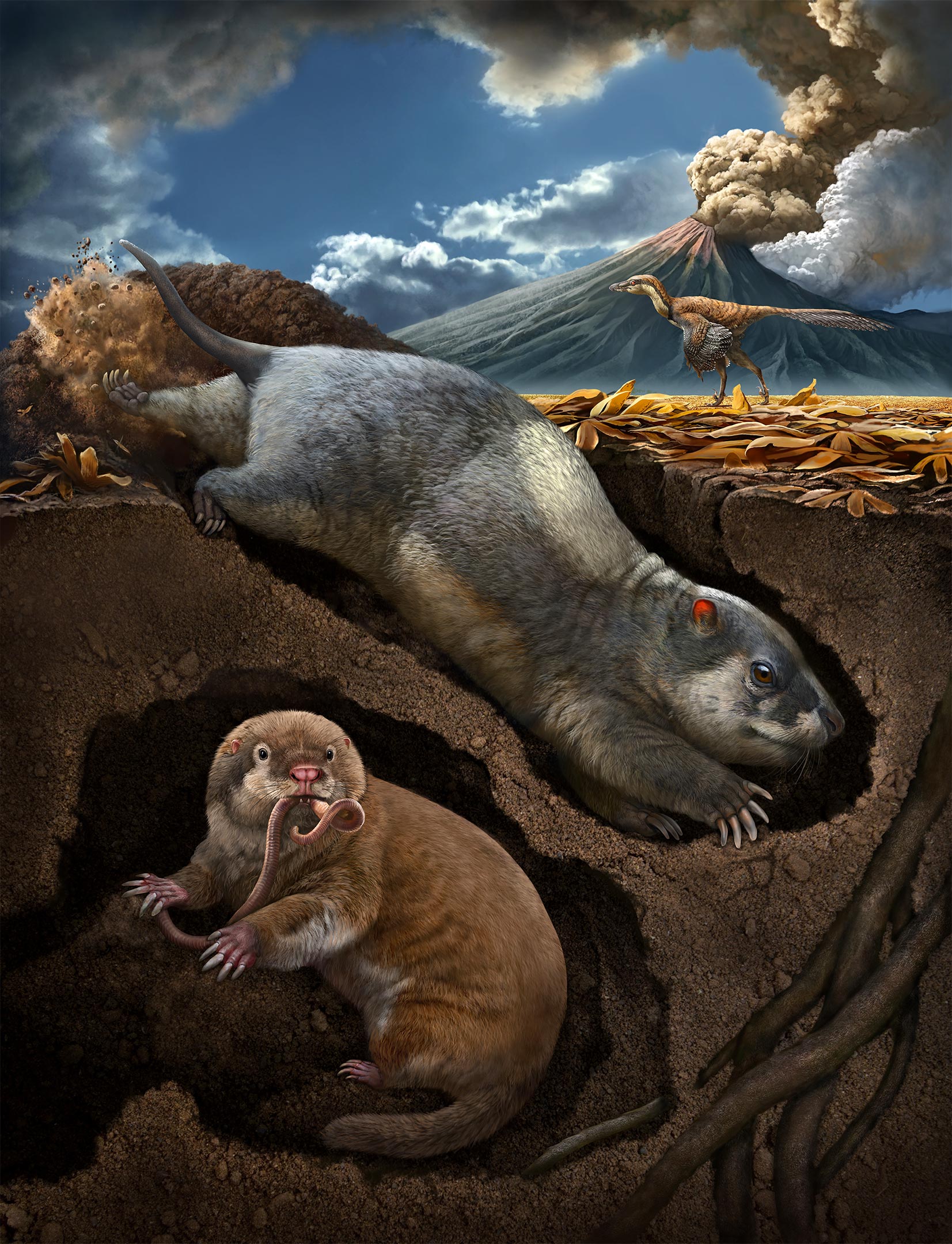 1.2亿年前动物独立进化出“掘土穴居”的特征