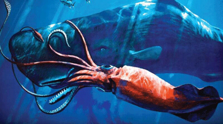 北海巨妖挪威海怪,体长100米的巨型八爪鱼