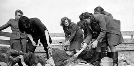二战德国T-4护士组,伪装成救死扶伤的护士屠杀了数万人