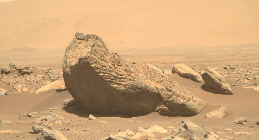 NASA“毅力号”火星车拍摄到形状像海象的巨石