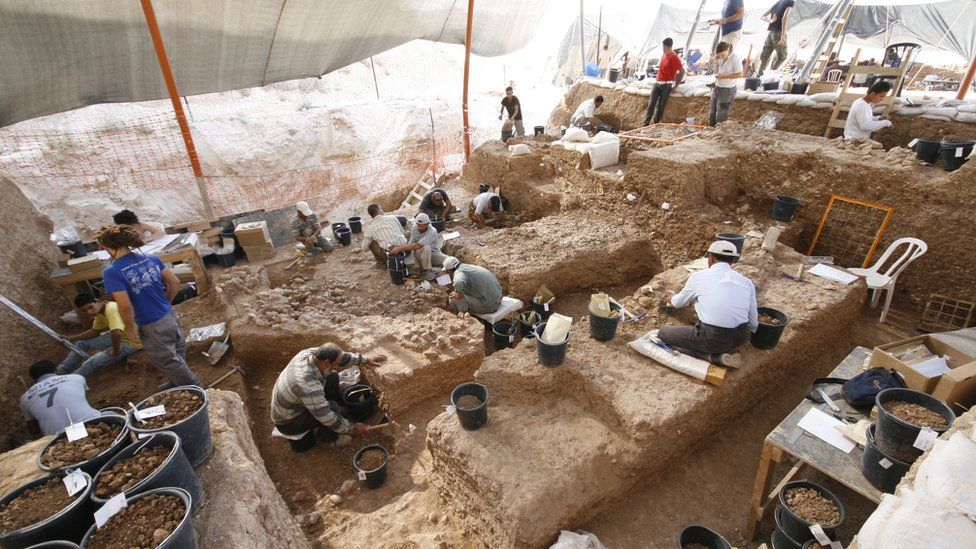 以色列Nesher Ramla遗址发现新智人种群 对尼安德特人起源欧洲的假设提出挑战
