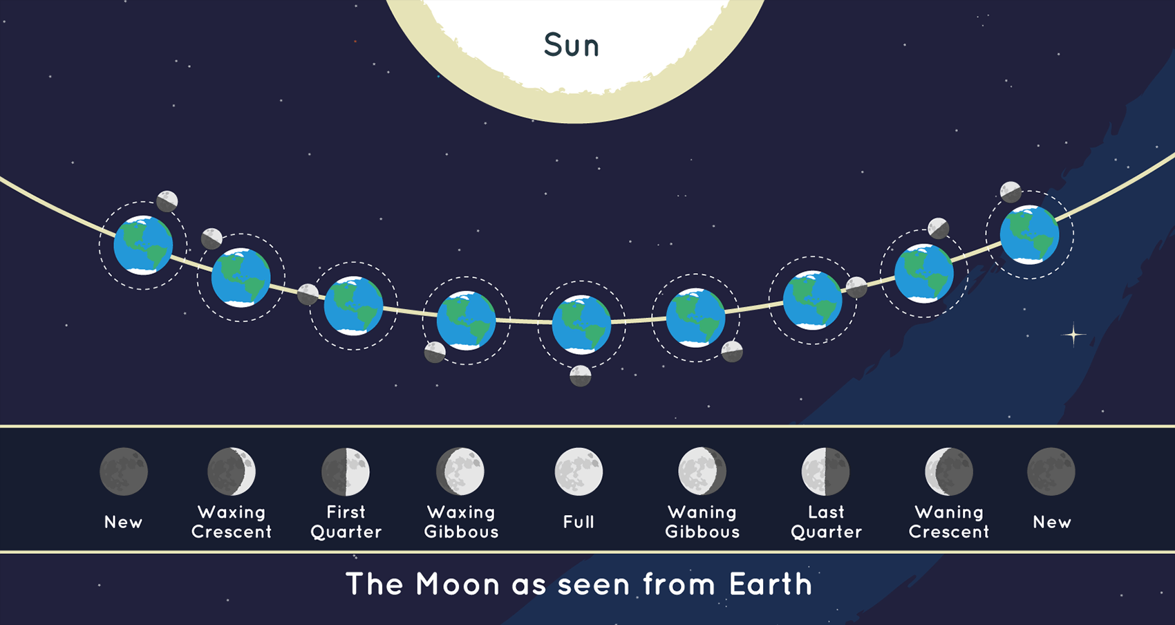 这张图显示了月球和太阳在每个月相期间的位置，以及每个月相期间从地球上看的月球，没有按照比例缩放。资料来源：NASA/JPL-Caltech