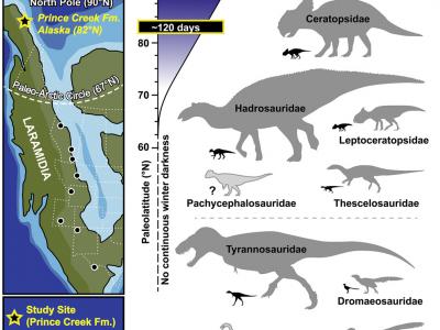 《当代生物学》：恐龙曾在北极筑巢