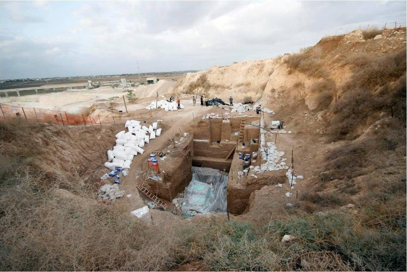 以色列Nesher Ramla露天遗址中发现长相怪异的“新人类”化石