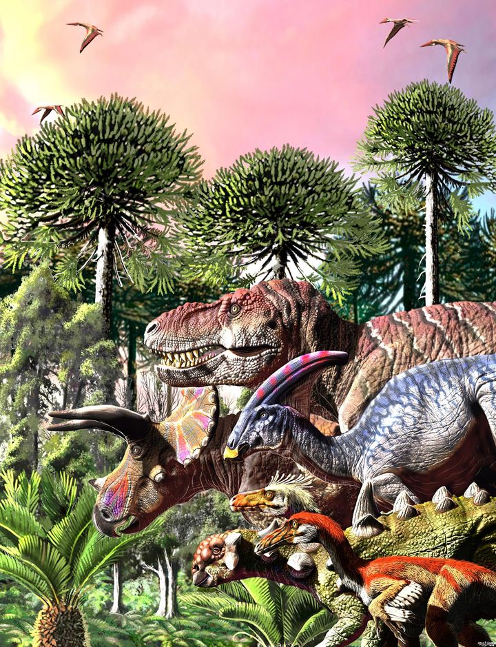 研究表明在遭受行星致命撞击之前恐龙已经衰退了1000多万年