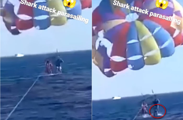 约旦男子在红海度假胜地亚喀巴玩滑翔翼时 被一条从海中冲出来的鲨鱼攻击