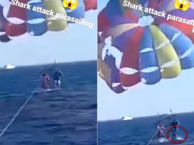约旦男子在红海度假胜地亚喀巴玩滑翔翼时 被一条从海中冲出来的鲨鱼攻击