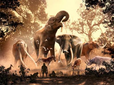 全球极端环境变化导致乳齿象和大象祖先的衰落 而非早期人类的过度捕猎