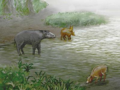 古生物学家发现两种新的、生活在3700万年前的伪马哺乳动物