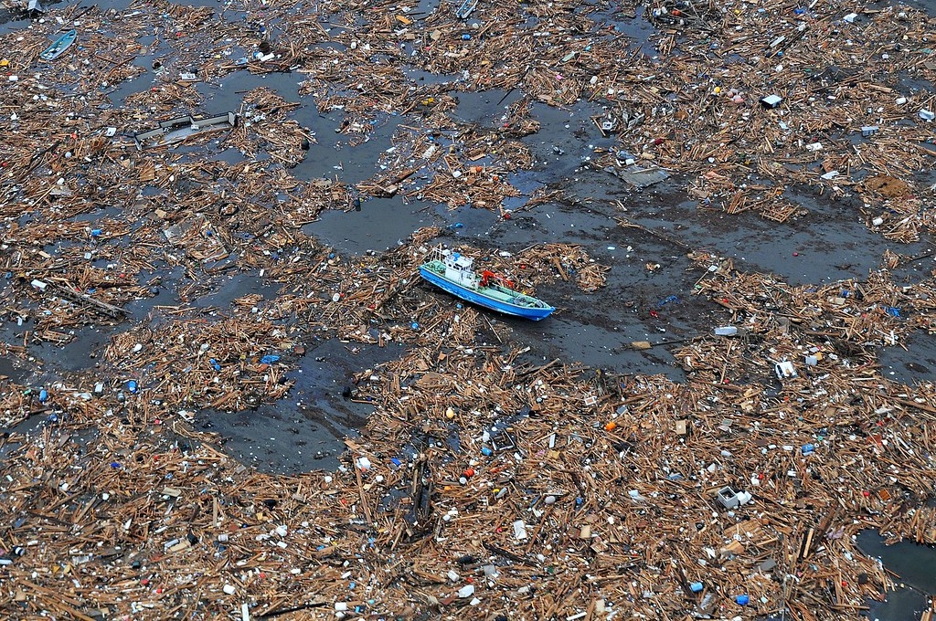 海洋塑胶垃圾太多成为外来物种入侵的新途径 威胁原生动物的生存