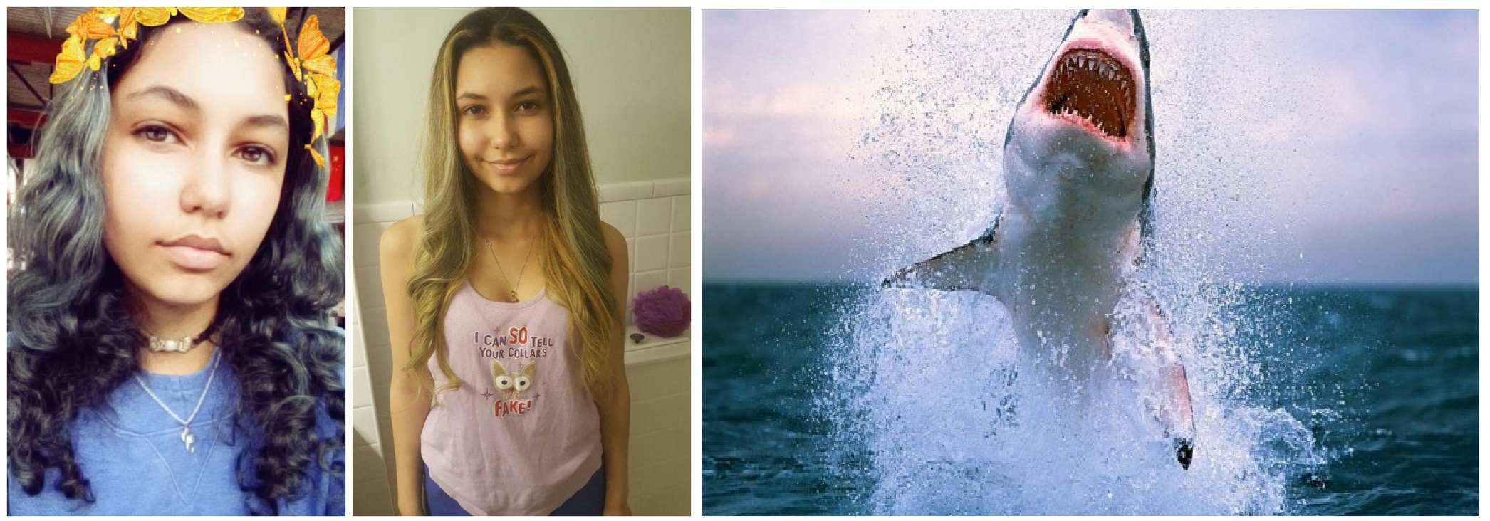 美国19岁少女Paige Winter遭鲨鱼袭击截肢保命 故事搬上国家地理频道