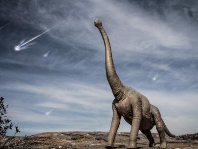 如果没有6600万年前小行星撞击地球，恐龙会灭绝吗？
