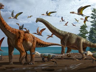 新疆早白垩世翼龙动物群发现大型恐龙化石 命名为中国丝路巨龙和新疆哈密巨龙