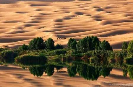 沙漠中的绿洲是怎么形成的?沙漠中为什么会有绿洲?