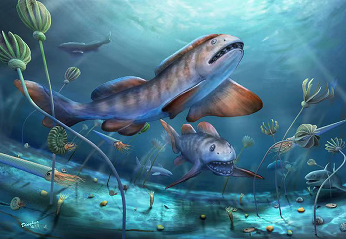 2.9亿年前山西阳泉瓣齿鲨的生态复原图(杨定华绘)