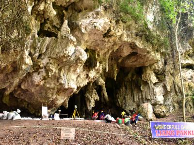 华莱西亚地区洞穴中发现前所未知的古人类血统