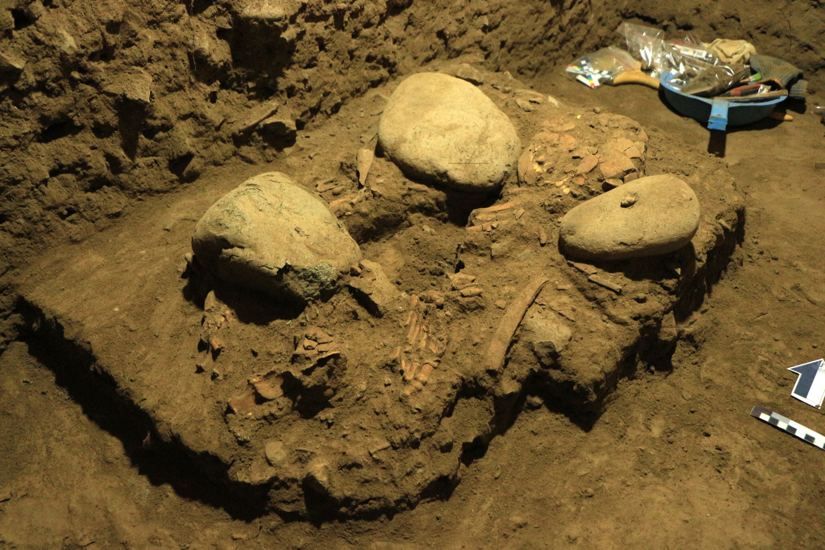 印度尼西亚苏拉威西岛发现7200年前遗骸 新型古人类“图阿莱人”有丹尼索瓦人基因