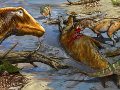 侏罗纪大型食肉恐龙异特龙是清道夫而不是捕食者