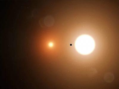 超过四分之一的类太阳恒星可能以行星为食