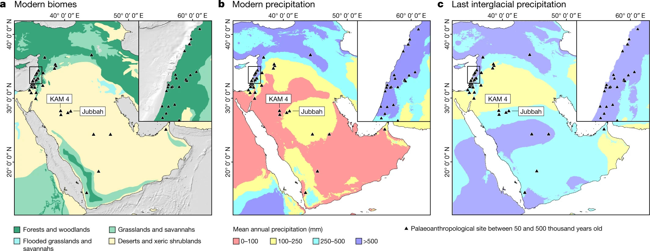 过去40万年里智人及其近亲多次在阿拉伯内陆迁徙
