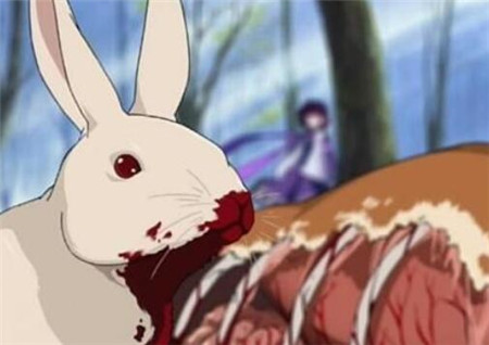 童谣十只兔子原版吓死了多少人?十只兔子的恐怖真相是什么?