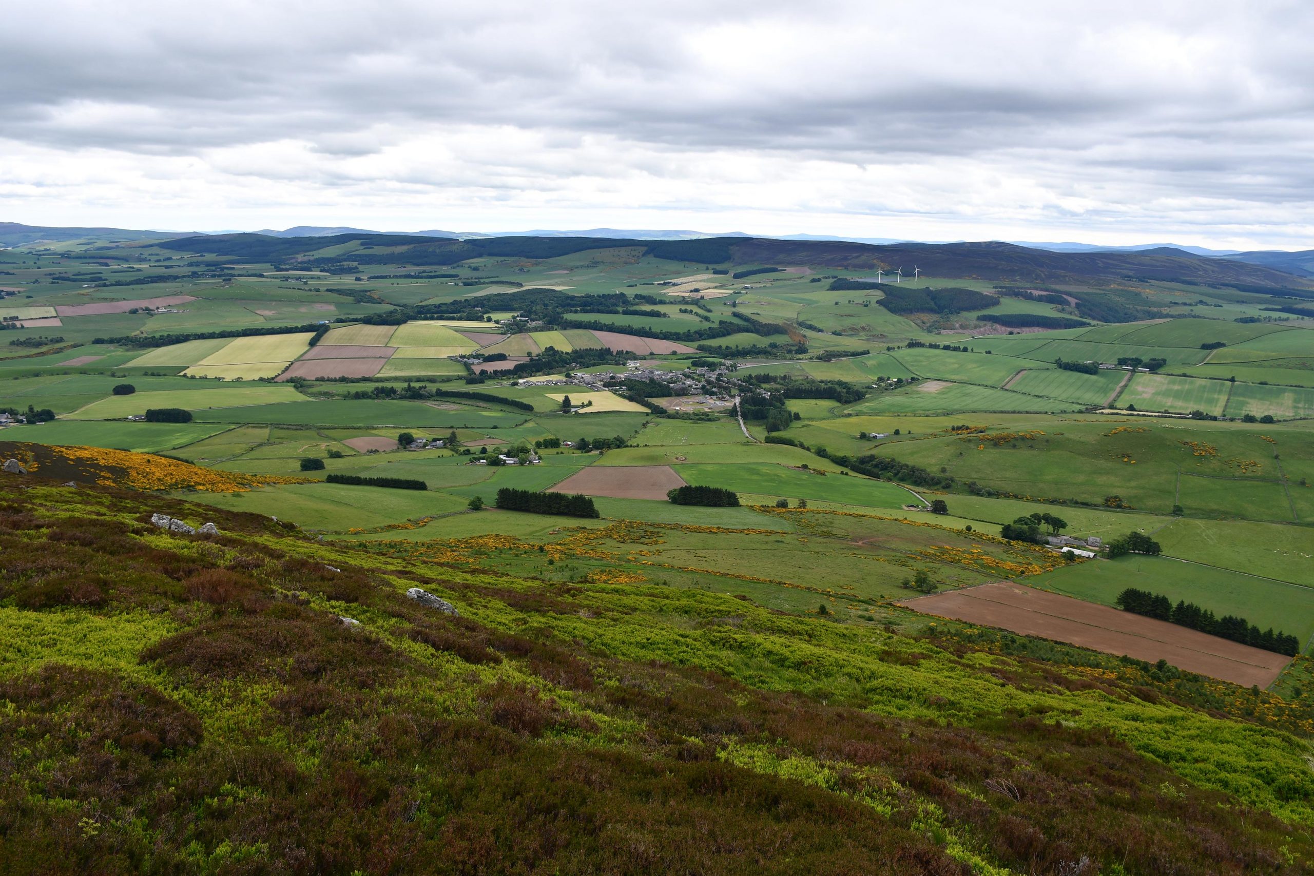苏格兰阿伯丁郡的雷尼村的景色。被称为Rhynie chert的化石矿床是以一个多世纪前首次发现的Rhynie村命名的。
