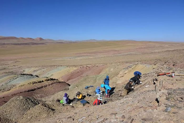 古生物科考队在青藏高原中部开展野外化石发掘（供图：苏涛）