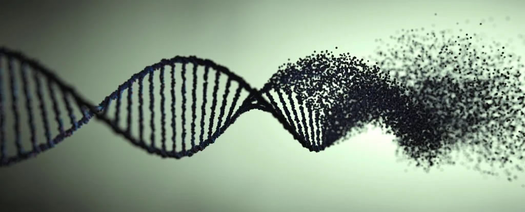 哺乳动物DNA藏大量病毒“化石”