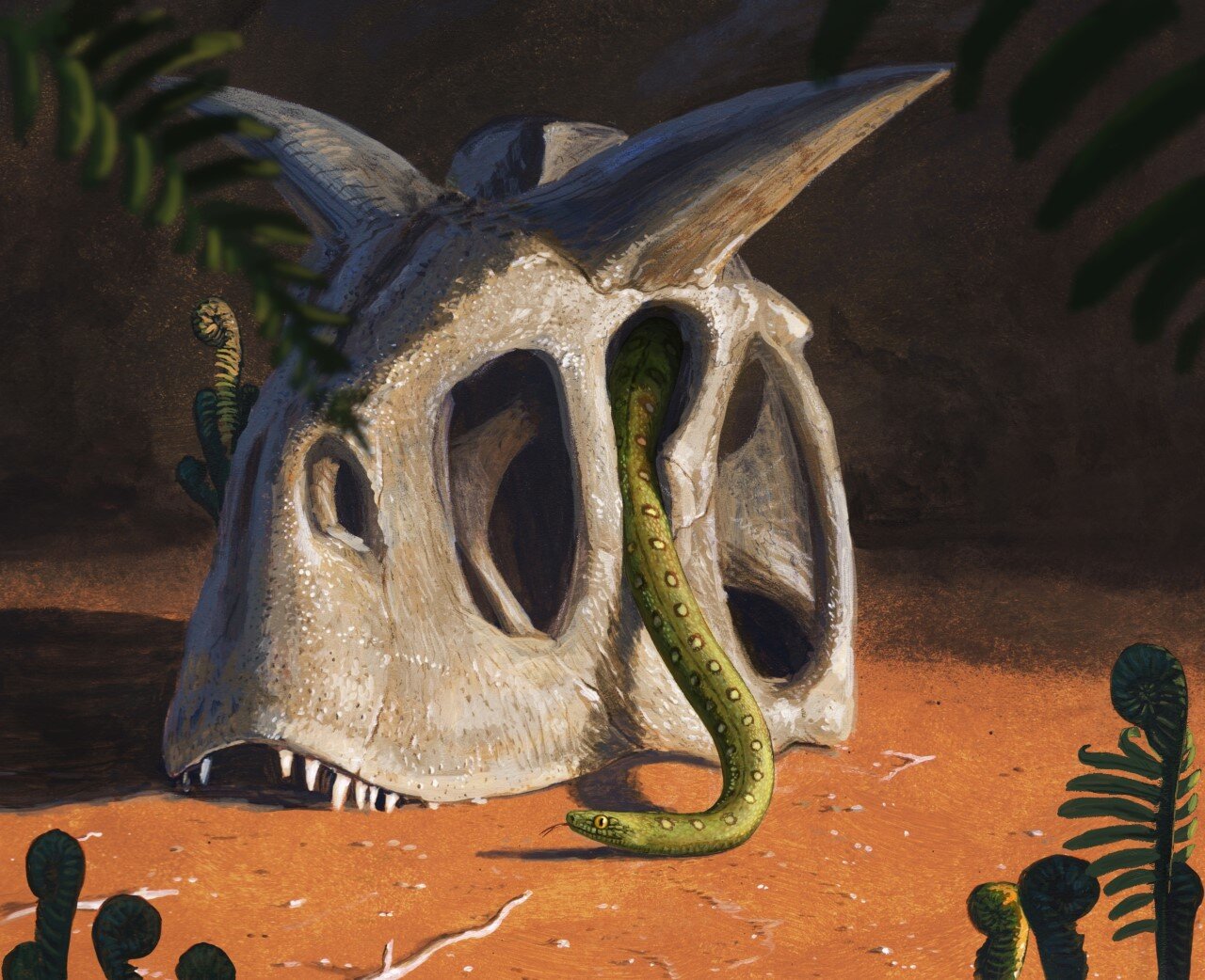 小行星撞击地球在白垩纪末消灭了恐龙 蛇却进化了(Credit: Joschua Knüppe)