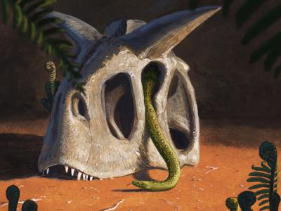 小行星撞击地球在白垩纪末消灭了恐龙 蛇却进化了