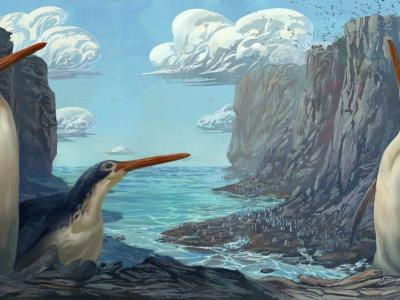 新西兰学童发现的巨型企鹅化石是新物种