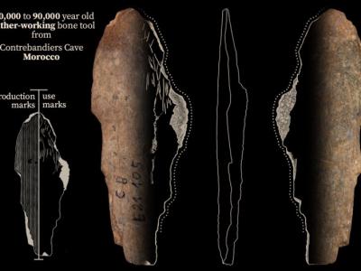 12万年前生活在现今摩洛哥的早期人类使用骨质工具制作衣服