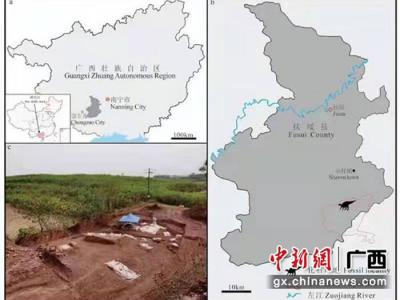 《地球学报》：中国南方首次发现的基干禽龙类化石新属种——广西那派龙