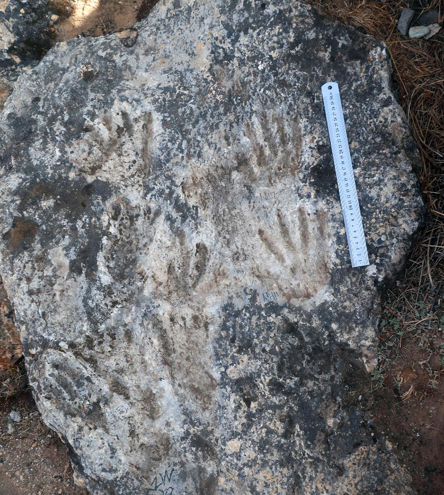 青藏高原发现世界最古老岩面艺术：西藏中更新世的古人类手足痕迹