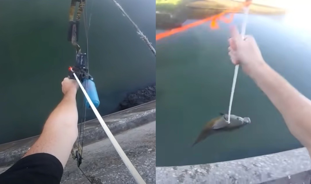 弓箭射鱼！美国网友分享“从水坝上狙击鱼儿”影片