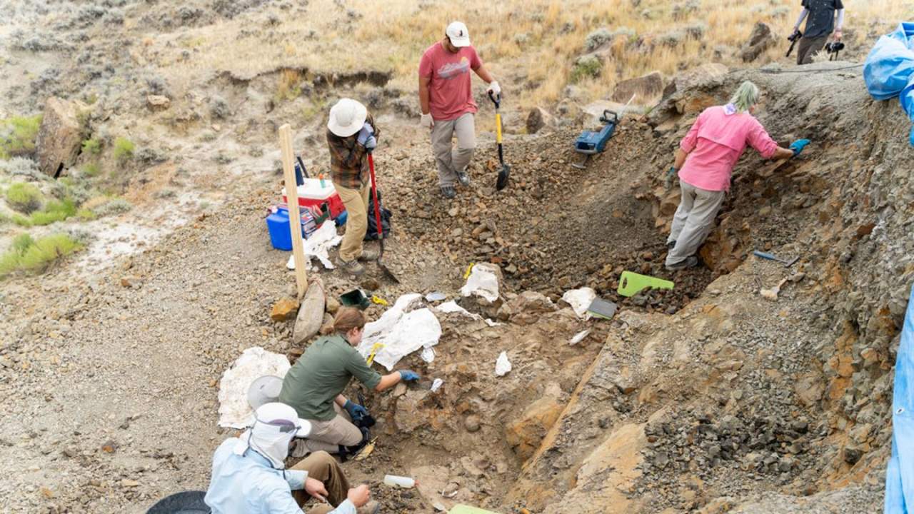 美国蒙大拿州的地层化石新发现几乎完整记录恐龙时代末期的场景