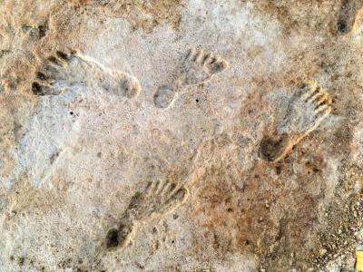 美国新墨西哥州白沙国家公园发现的23000年前脚印化石为美洲人类活动提供最早证据