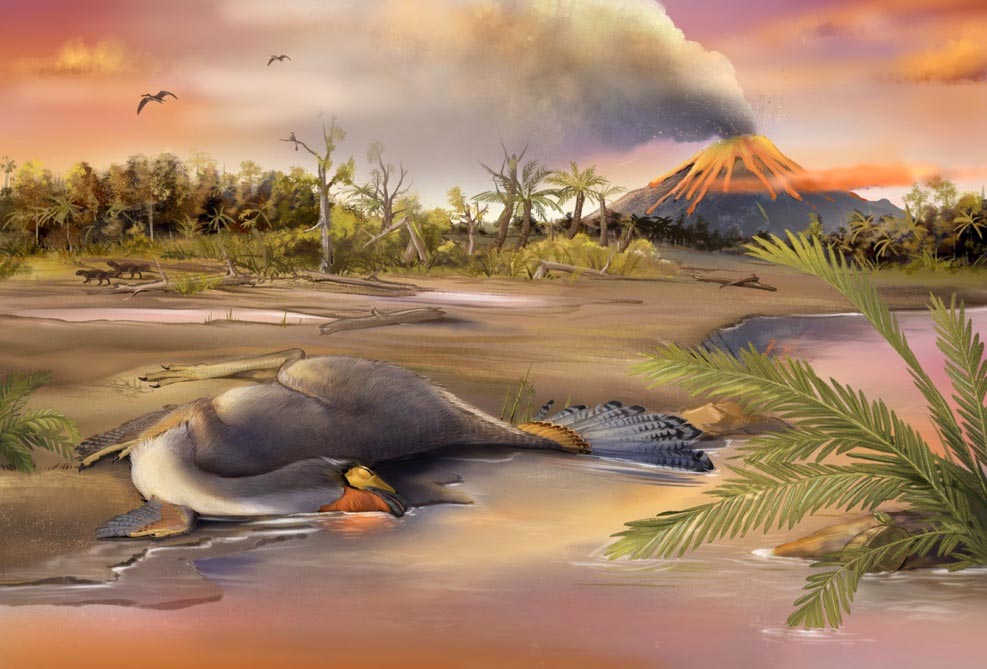 中国东北1.25亿年前恐龙化石中分离出保存精美的软骨细胞