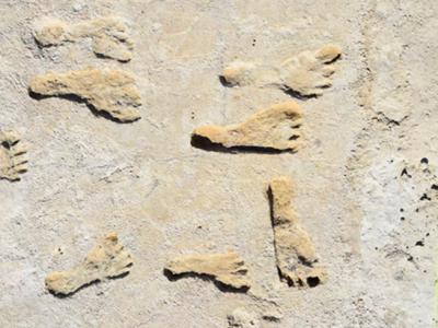 美国新墨西哥州白沙国家公园发现的化石脚印证明早期人类在23000年前抵达北美