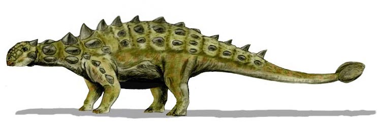 摩洛哥发现的怪异恐龙新物种拥有不同于其他物种的“盔甲”