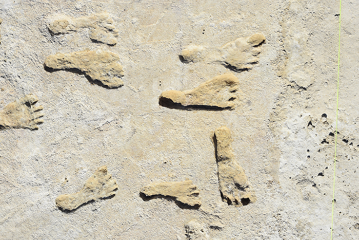 美国新墨西哥州白沙国家公园发现美洲最古老的人类脚印化石 追溯到2.3万年前冰河时代