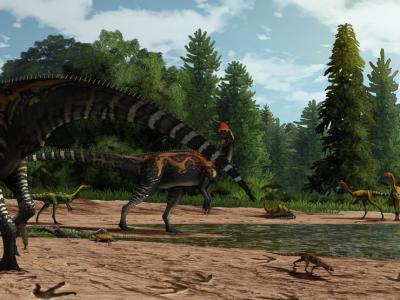 云南滇中盆地发现1.9亿年前早侏罗世晚期的兽脚类恐龙足迹点