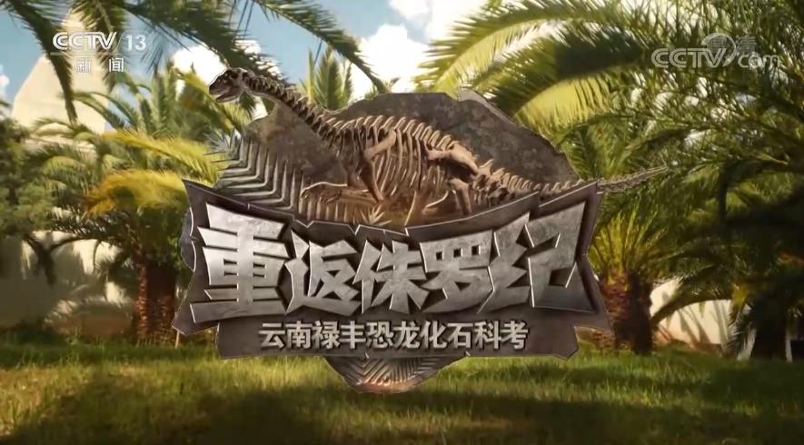 《重返侏罗纪·云南禄丰恐龙化石科考发掘》：穿越亿万年一起探索远古奥秘